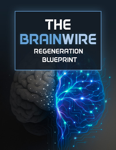 The Brainwire Regeneration Blueprint digital bonus guide cover