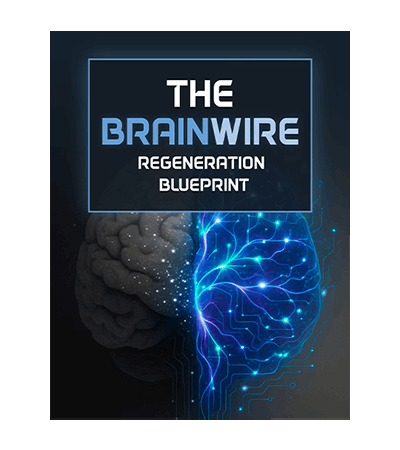 Audifort bonus #2 The Brainwire Regeneration Blueprint